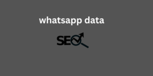  whatsapp data