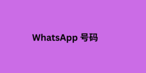 WhatsApp 号码