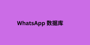  WhatsApp 数据库