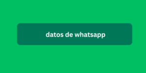 datos de whatsapp