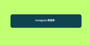 instagram 数据库